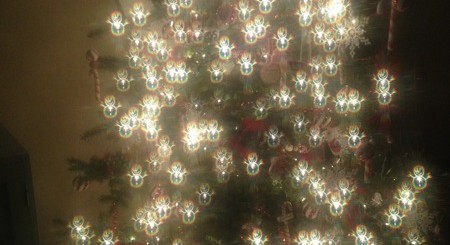 holiday specs 6
