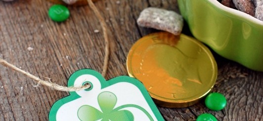 St. Patrick's Day printables - NoBiggie.net