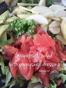http://www.nobiggie.net/wp-content/uploads/2013/03/Grapefruit-avocado-salad-with-a-homemade-poppyseed-dressing-NoBiggie.net_-225x300.jpg