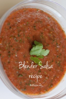 http://www.nobiggie.net/wp-content/uploads/2014/04/the-best-homemade-salsa-recipe-on-NoBiggie.net_-e1398236614265.jpg