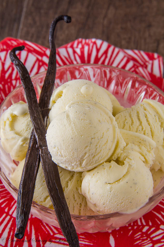 25+ homemade ice cream recipes
