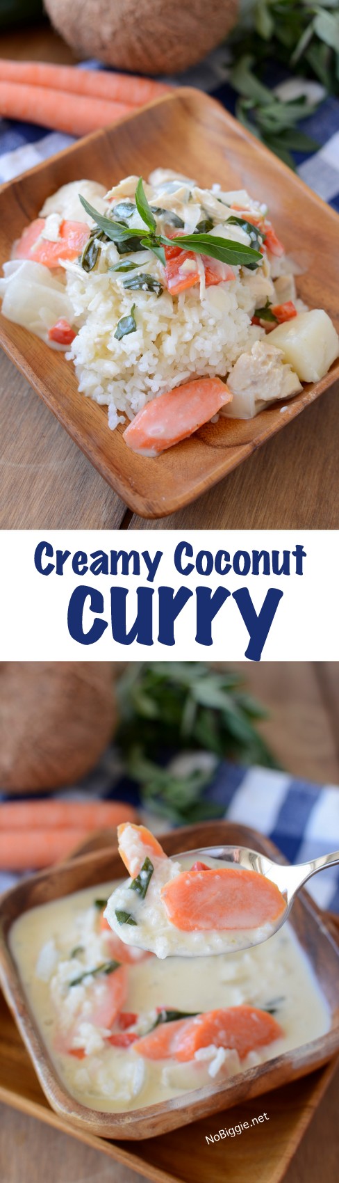 http://www.nobiggie.net/wp-content/uploads/2015/11/creamy-coconut-curry-this-recipe-is-just-like-eating-out-and-so-easy-NoBiggie.net_.jpg