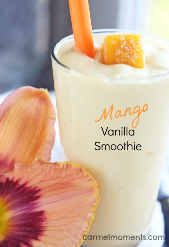 http://www.nobiggie.net/wp-content/uploads/2016/01/Mango-Vanilla-Smoothie.jpg
