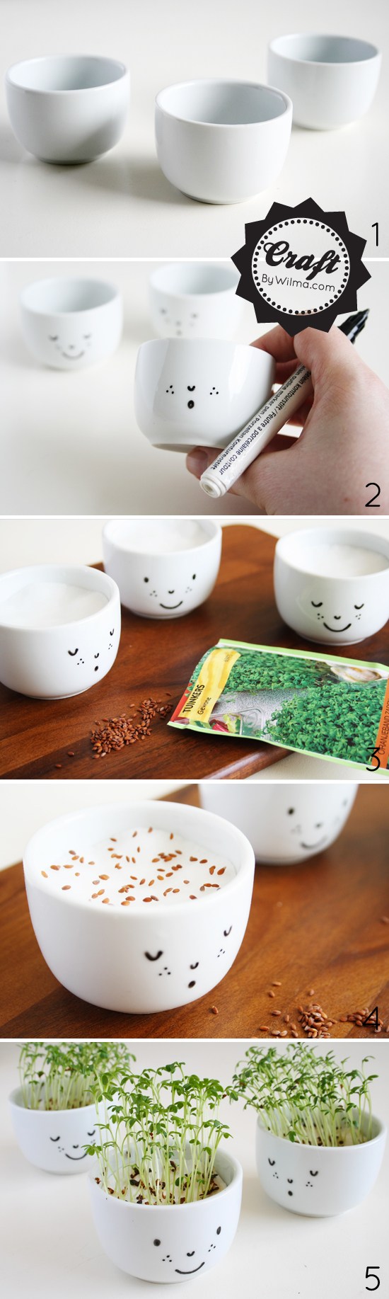 http://www.nobiggie.net/wp-content/uploads/2016/02/cute-cress-cups-with-a-face-diy.jpg
