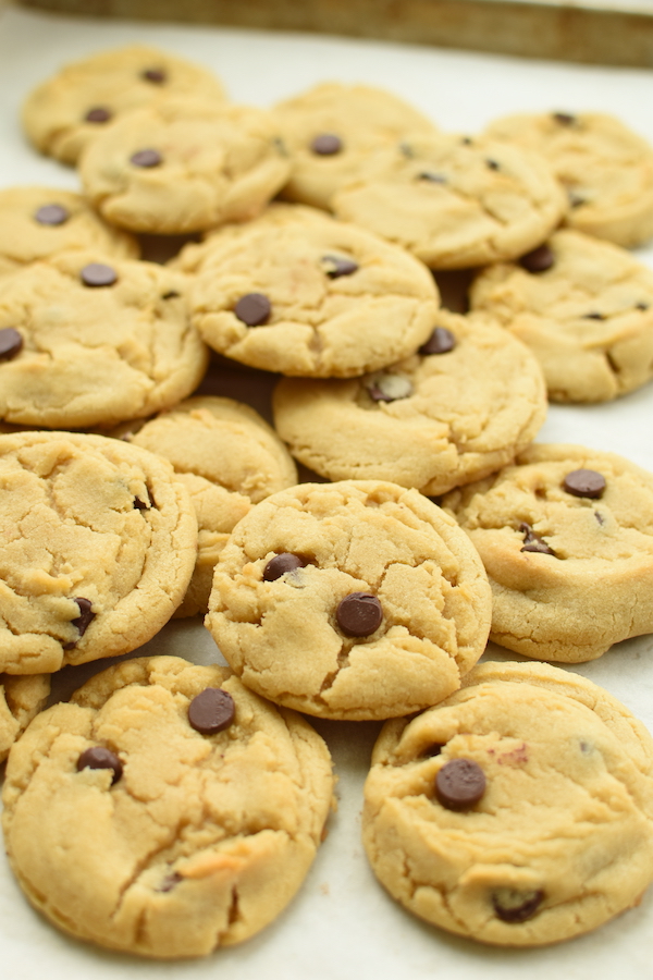 best chocolate chip cookies | NoBiggie.net