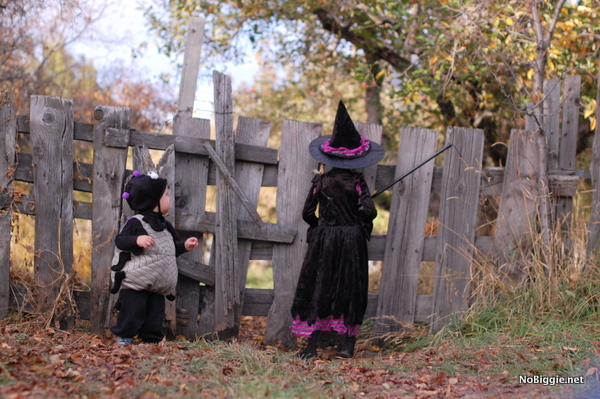 witch and spider Halloween Costume | NoBiggie.net