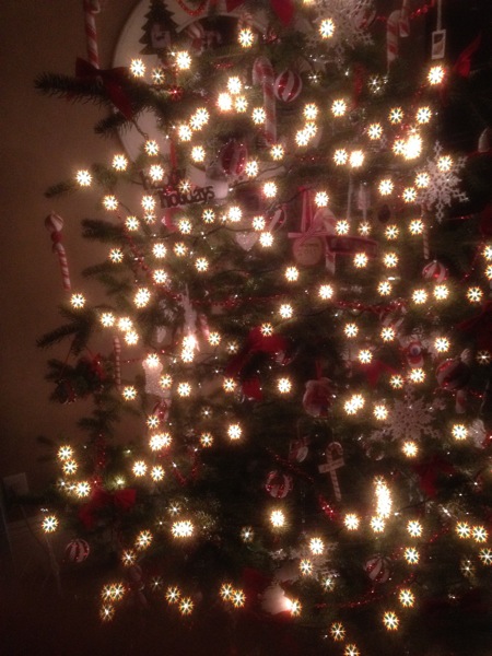 Try Holiday Specs for a fun way to look at Christmas lights! - NoBiggie.net