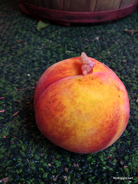 peach with a bee sting - NoBiggie.net