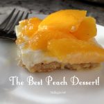 the best peach dessert | NoBiggie.net