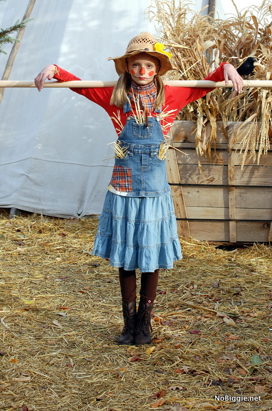 scarecrow costume - NoBiggie.net