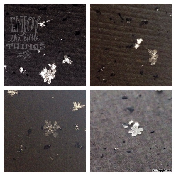Learn how to catch snowflakes to look at them up close | NoBiggie.net