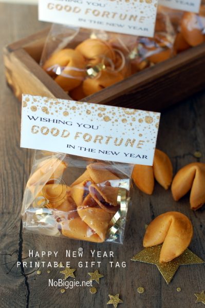 Fortune Cookie printable for the New Year | NoBiggie.net