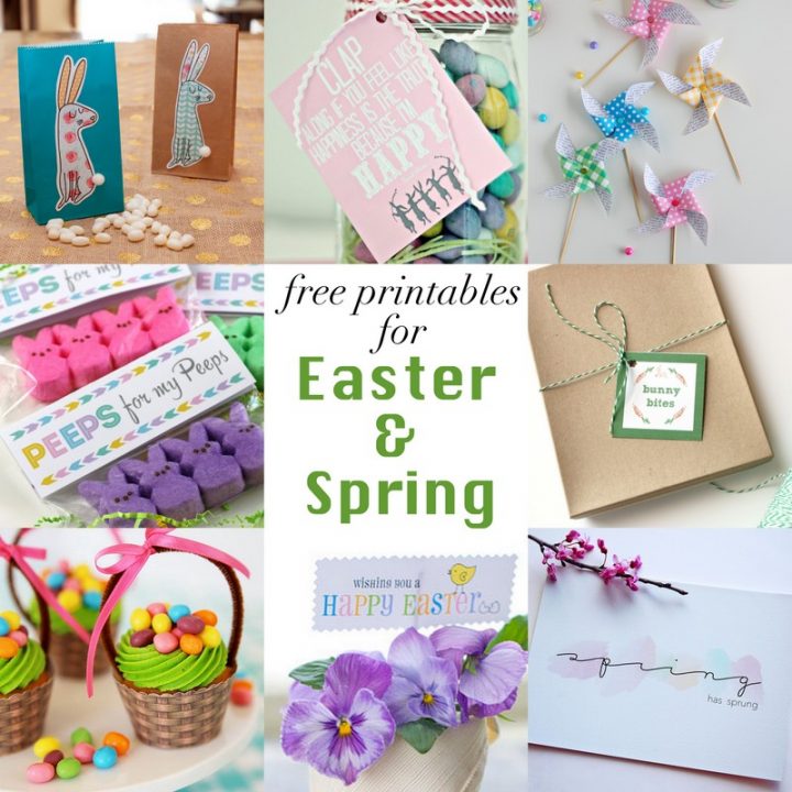 Happy Pinwheels for Spring | NoBiggie