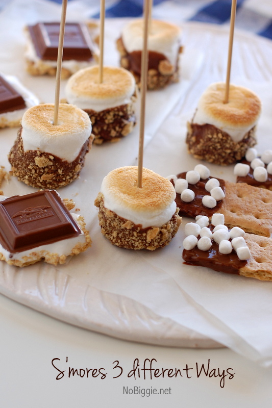3 Ways for Indoor S'mores | 25+ Desserts on a Stick