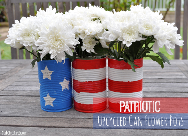 Patriotic Planters | +25 4th of July Party Ideas