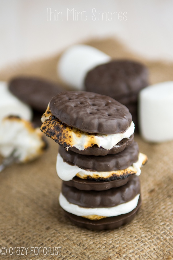 Thin Mint S'mores | 25+ S'mores Recipes
