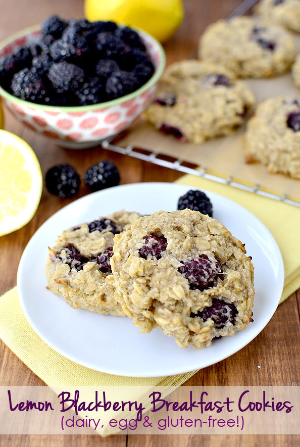 Lemon Blackberry Breakfast Cookies | 25+ gluten free and dairy free breakfast recipes