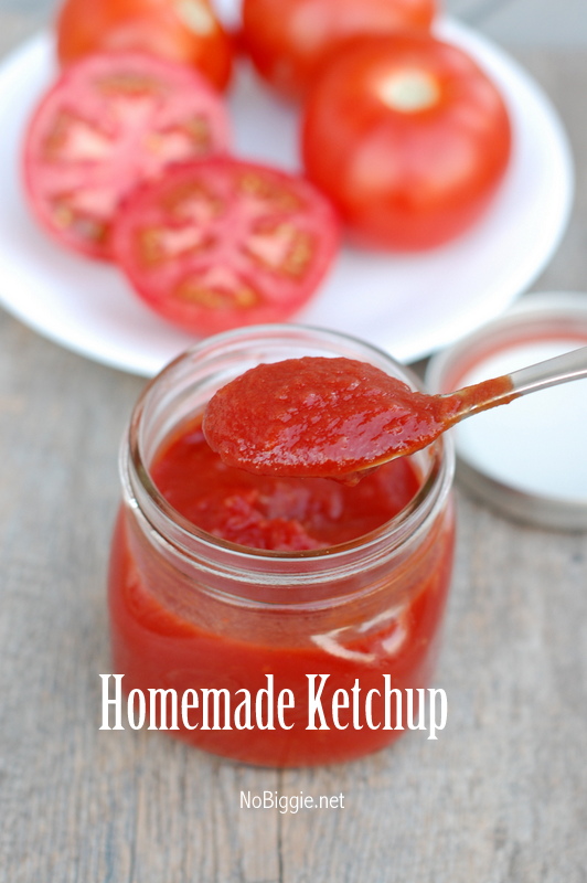 homemade ketchup | NoBiggie.net