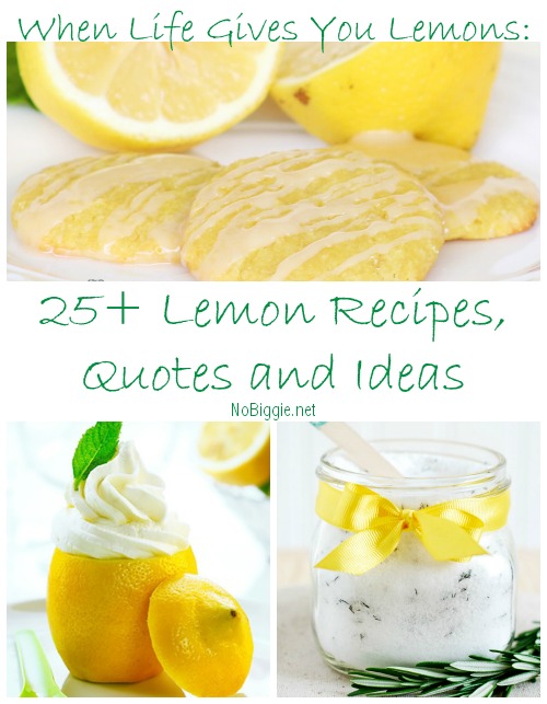 25+ Lemon Recipes Quotes and Ideas | NoBiggie.net