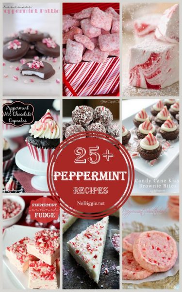 25+ Peppermint Recipes | NoBiggie