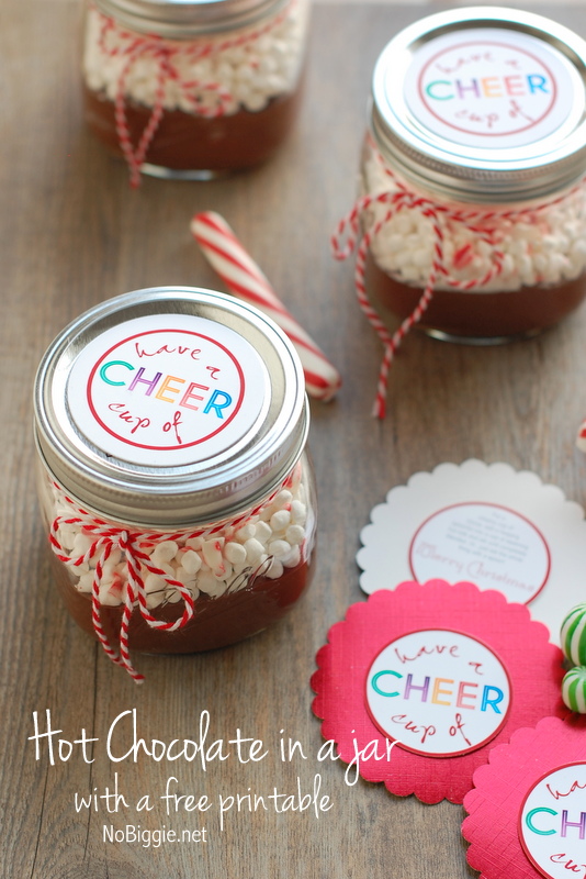 Hot Chocolate In a Jar With a Free Printable Tag Fun Neighbor Gift | 25+ Mason Jar Gift Ideas