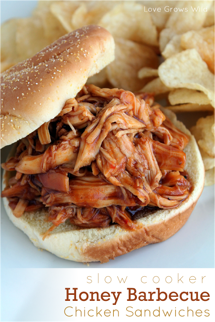 slow cooker honey barbecue chicken sandwiches | 25+ Slow Cooker Recipes Kids Love