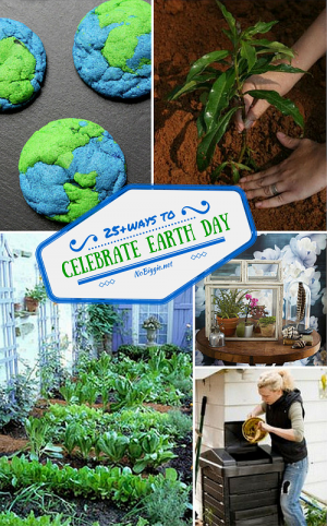 25+ Ways to Celebrate Earth Day | NoBiggie
