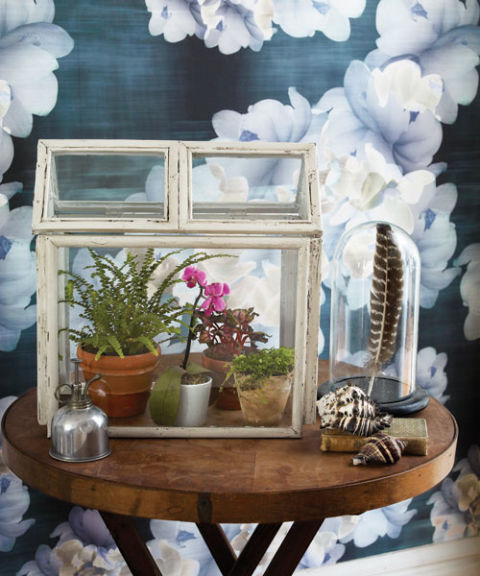 How to Make a Terrarium | 25+ ways to celebrate Earth Day