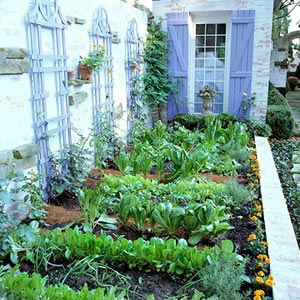 How to plant a vegetable garden | 25+ ways to celebrate Earth Day