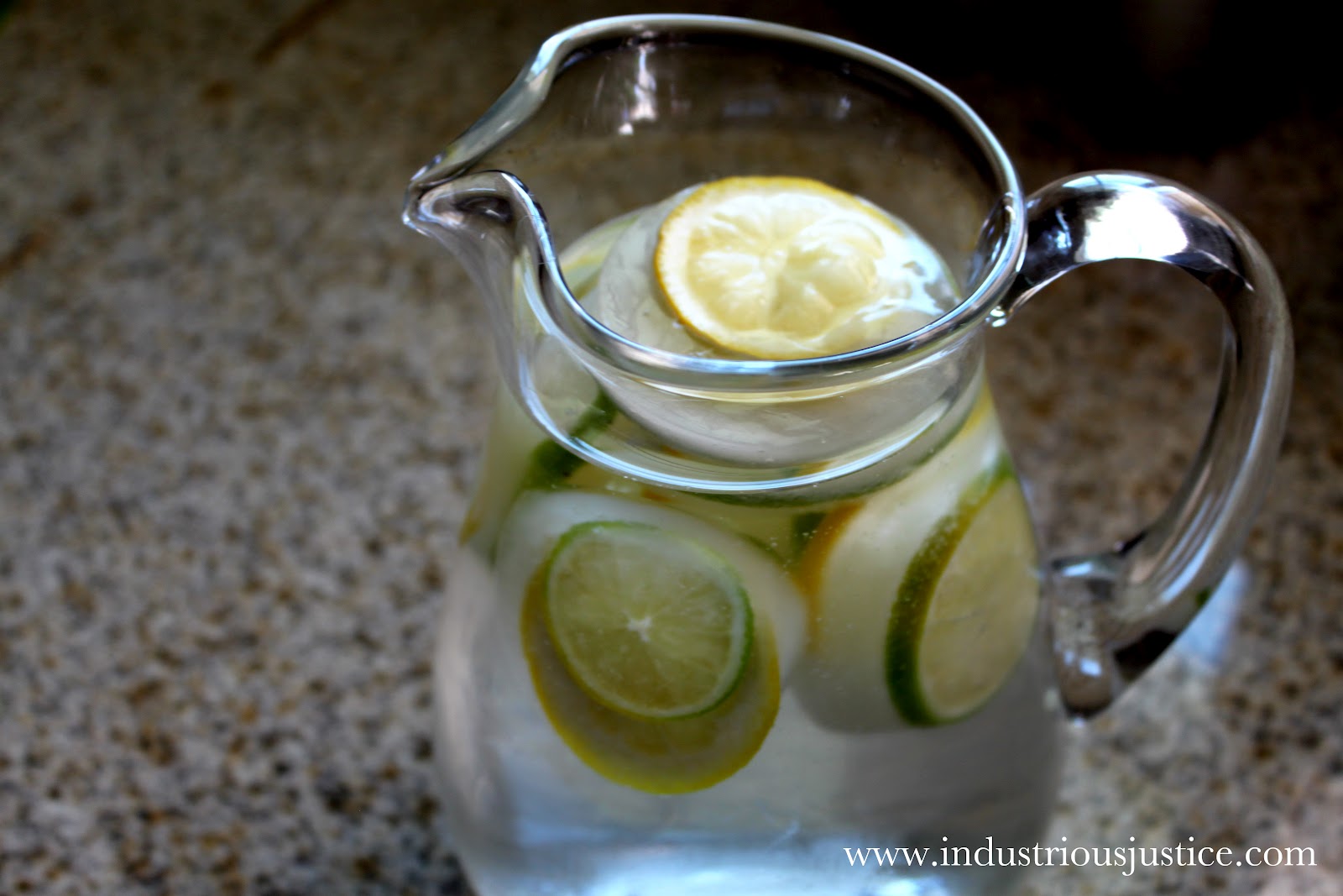 Lemon and Lime Ice Cubes | 25+ Food Hacks