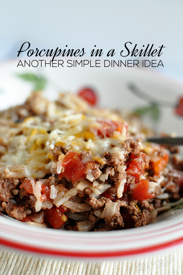 One Pot Porcupines in a Skillet | 25+ One Pot Meals