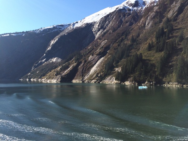looking out at tracy arm fjord