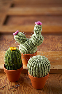 Free Cactus Knitting Pattern | 25+ Cactus crafts and DIY