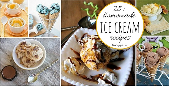 25+ homemade ice cream recipes | NoBiggie.net