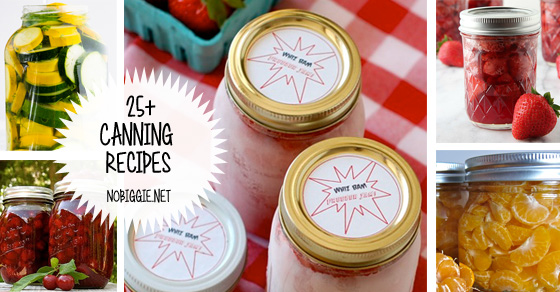 25+ Canning Recipes | NoBiggie.net