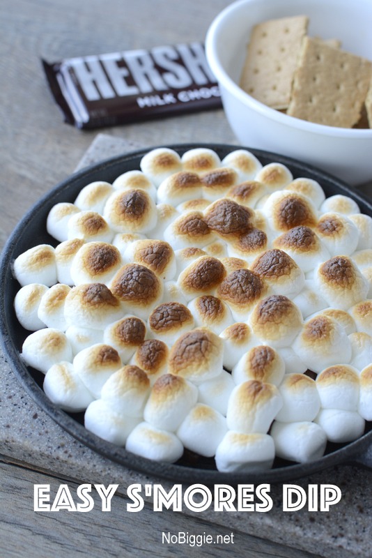 Easy S'mores Dip | 25+ easy camping recipes