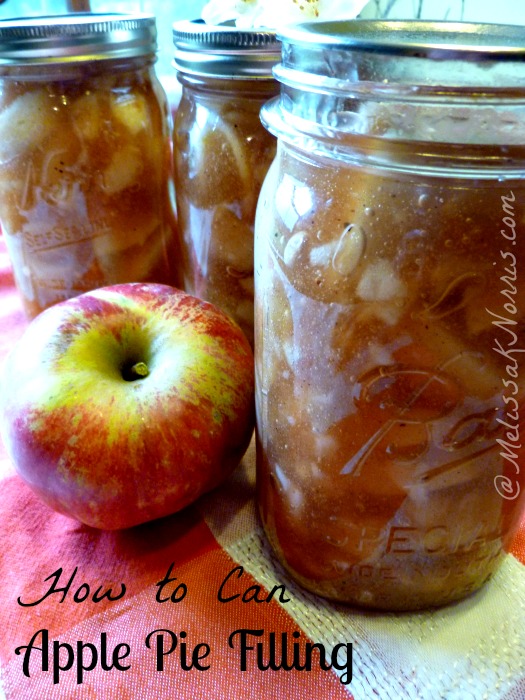 Homemade Apple Pie Filling | 25+ Canning Recipes