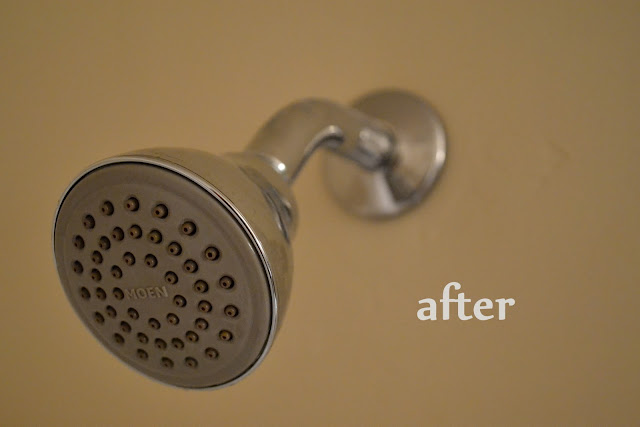 How to Clean a Shower Head | 25+ Cleaning Hacks