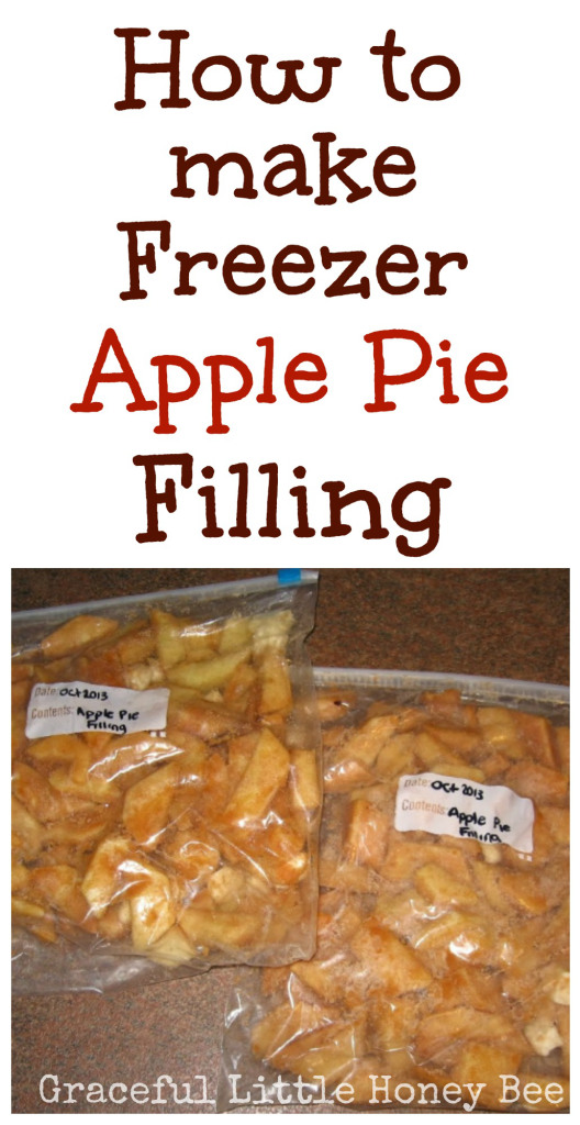 How to make homemade apple pie filling | 25+ apple recipes