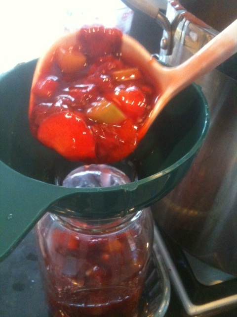 Strawberry Rhubarb Jam | 25+ Canning Recipes