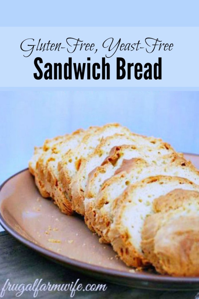 Gluten-free Yeast-free Sandwich Bread | 25+ Quick Bread Recipes (No Yeast Required)
