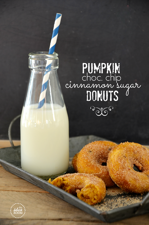Pumpkin Chocolate Chip Cinnamon Sugar Donuts | 25+ Pumpkin Recipes