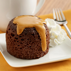 Chocolate Peanut Butter mug cake | 25+ mug cakes