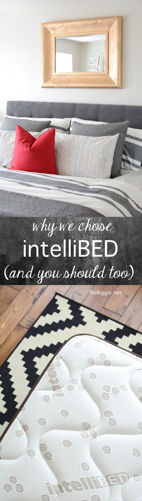 why we chose intelliBED and you should too | NoBiggie.net