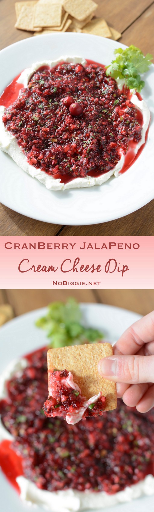 Cranberry Jalapeno Salsa Cream Cheese Dip