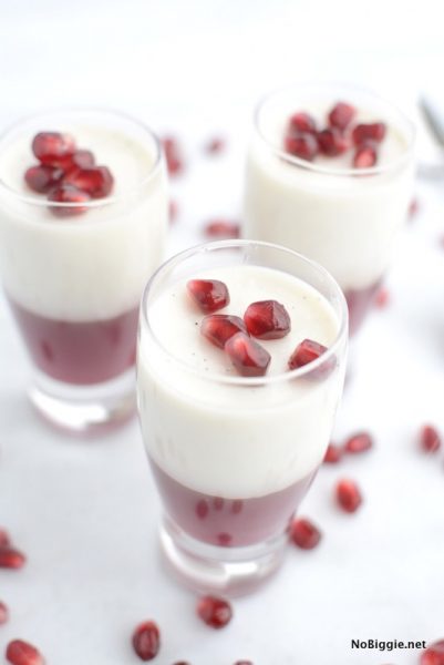 Pomegranate Panna Cotta | NoBiggie.net