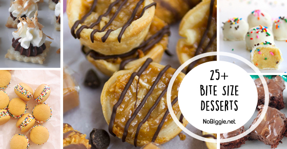25+ Bite Size Desserts | NoBiggie.net