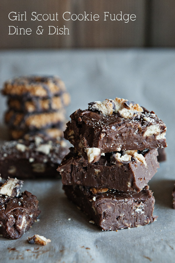 Girl Scout Cookie Fudge | 25+ Girl Scout Cookie Recipes