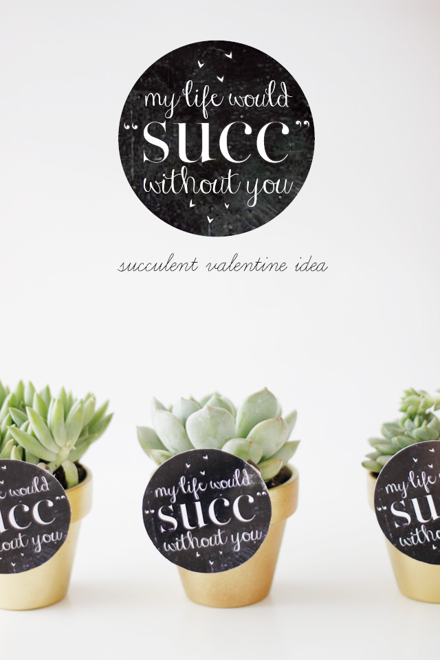 my life would suck without you (succulent valentines idea)