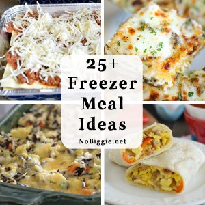 25+ Freezer Meal Ideas | NoBiggie
